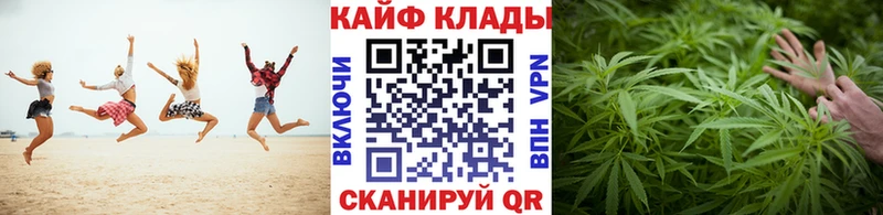 Как найти наркотики Циолковский Каннабис  Кокаин  ГАШ 
