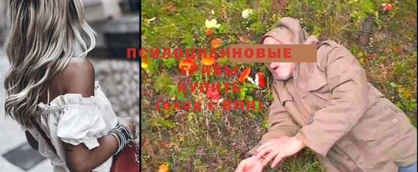 mdpv Кукмор
