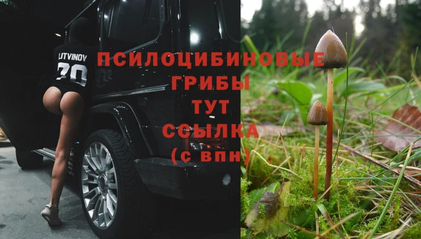 spice Куйбышев