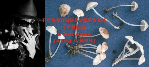 mdpv Кукмор
