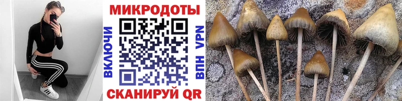 Псилоцибиновые грибы мухоморы  хочу   hydra сайт  Циолковский 